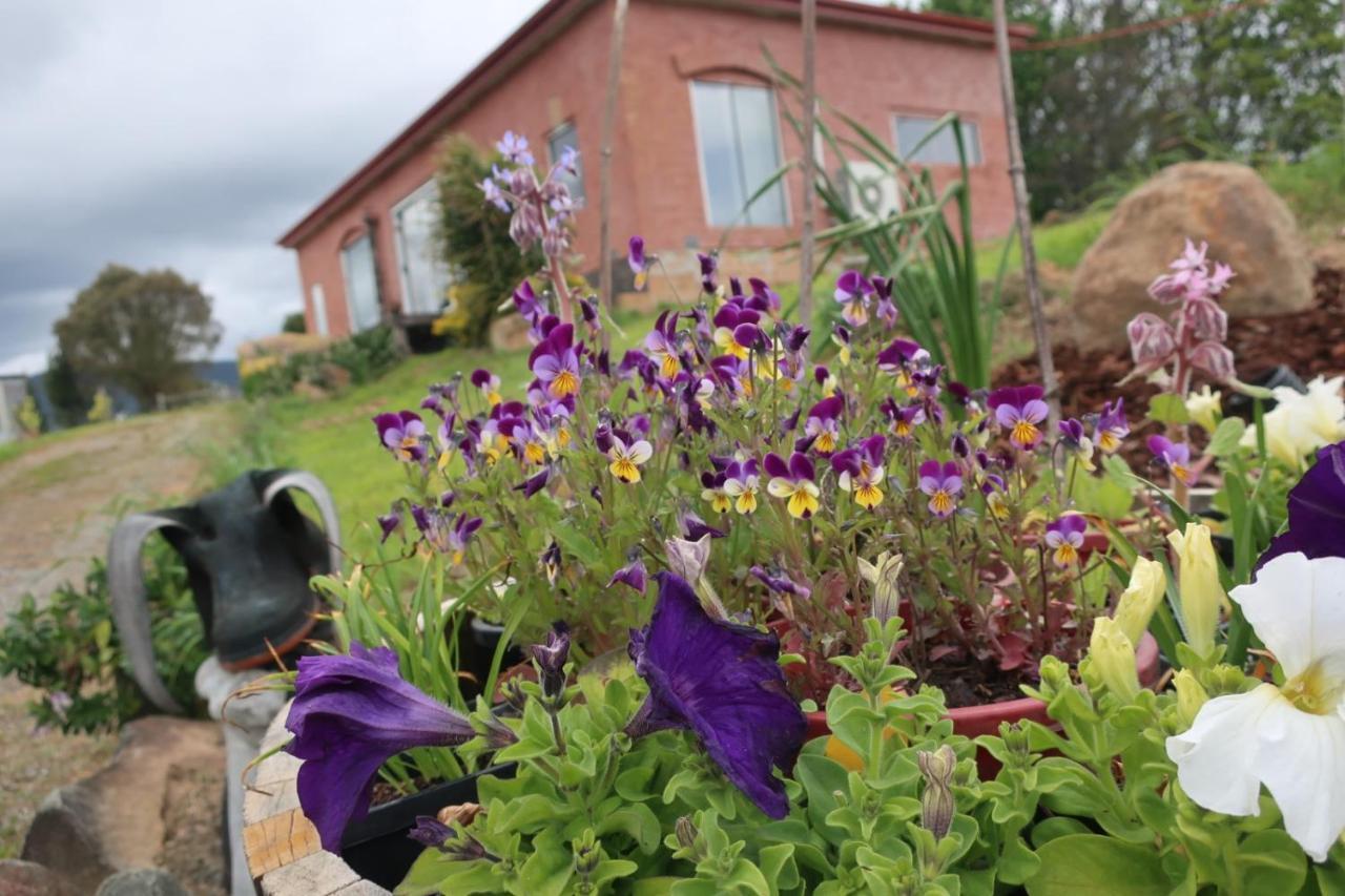 Cherry Top Farmstay - Boutique Eco Village Lilydale Exterior foto