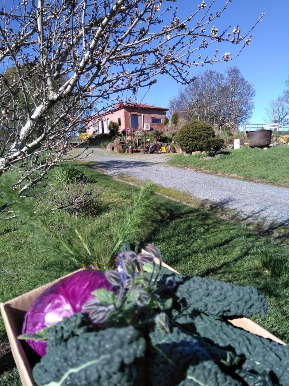 Cherry Top Farmstay - Boutique Eco Village Lilydale Exterior foto