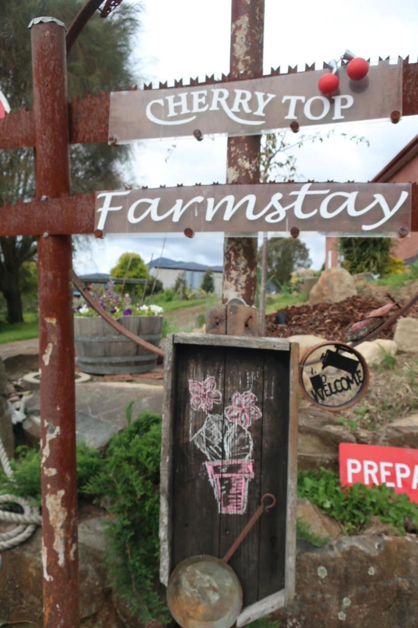 Cherry Top Farmstay - Boutique Eco Village Lilydale Exterior foto