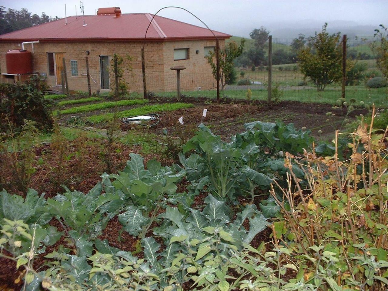 Cherry Top Farmstay - Boutique Eco Village Lilydale Exterior foto