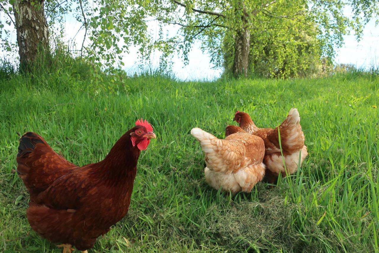 Cherry Top Farmstay - Boutique Eco Village Lilydale Exterior foto