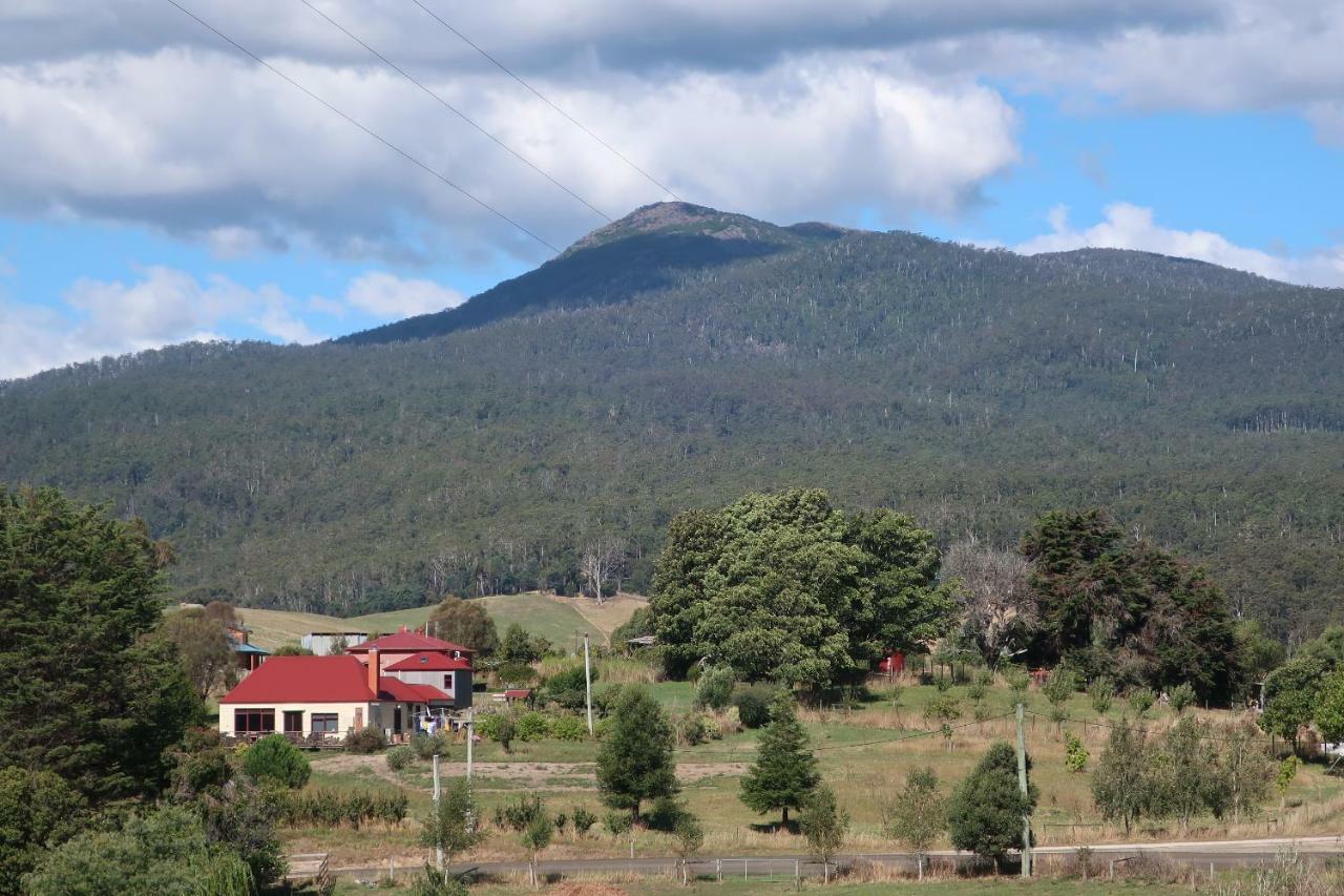 Cherry Top Farmstay - Boutique Eco Village Lilydale Exterior foto